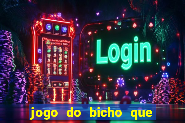 jogo do bicho que paga no pix